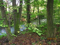 IMG_2519.jpg, 33kB